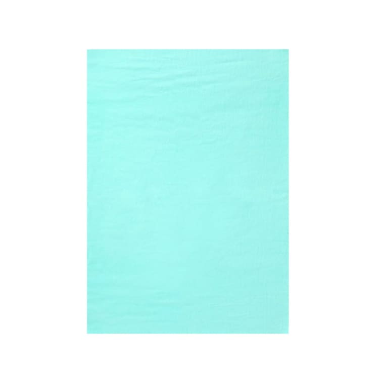 Barrel Basic Aqua Towel-MINT - Barrel / Mint / OSFA - Beach Towels | BARREL HK