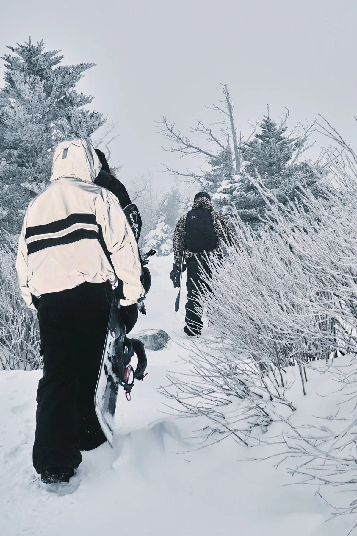 Dimito Line Wind Snow Jacket-reflective [korean Brand]