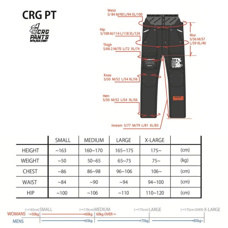 Pants / Snow: MRS CARGO SNOW PANTS (Japanese Brand) Anthracite [Unisex] - 2021, Anthracite, Clothing, Ice & Snow, LCX | 